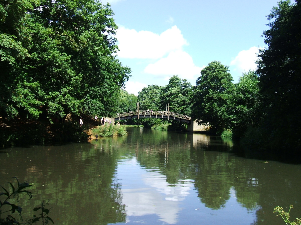 River Wey - Walkfest 2013